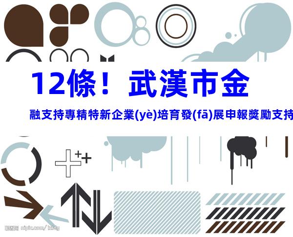 12條！武漢市金融支持專精特新企業(yè)培育發(fā)展申報獎勵支持措施合集