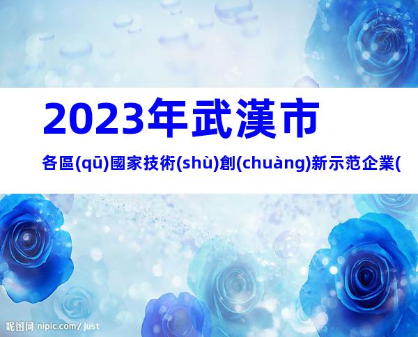 2023年武漢市各區(qū)國家技術(shù)創(chuàng)新示范企業(yè)認(rèn)定及復(fù)核評價時間、流程